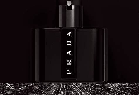 is prada black good for summer|prada black perfume reviews.